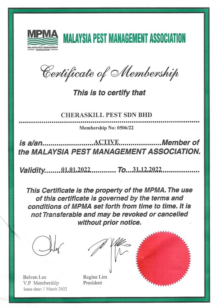 MPMA